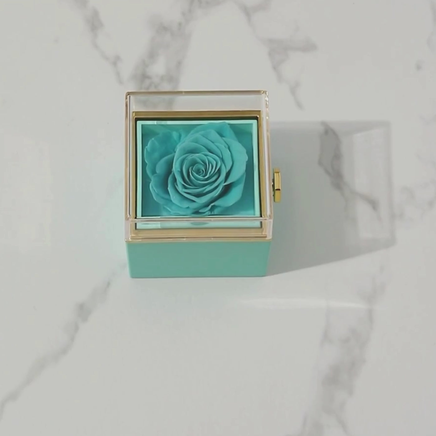 Forever Rose Box, Gift Bag & Custom Letter Necklace