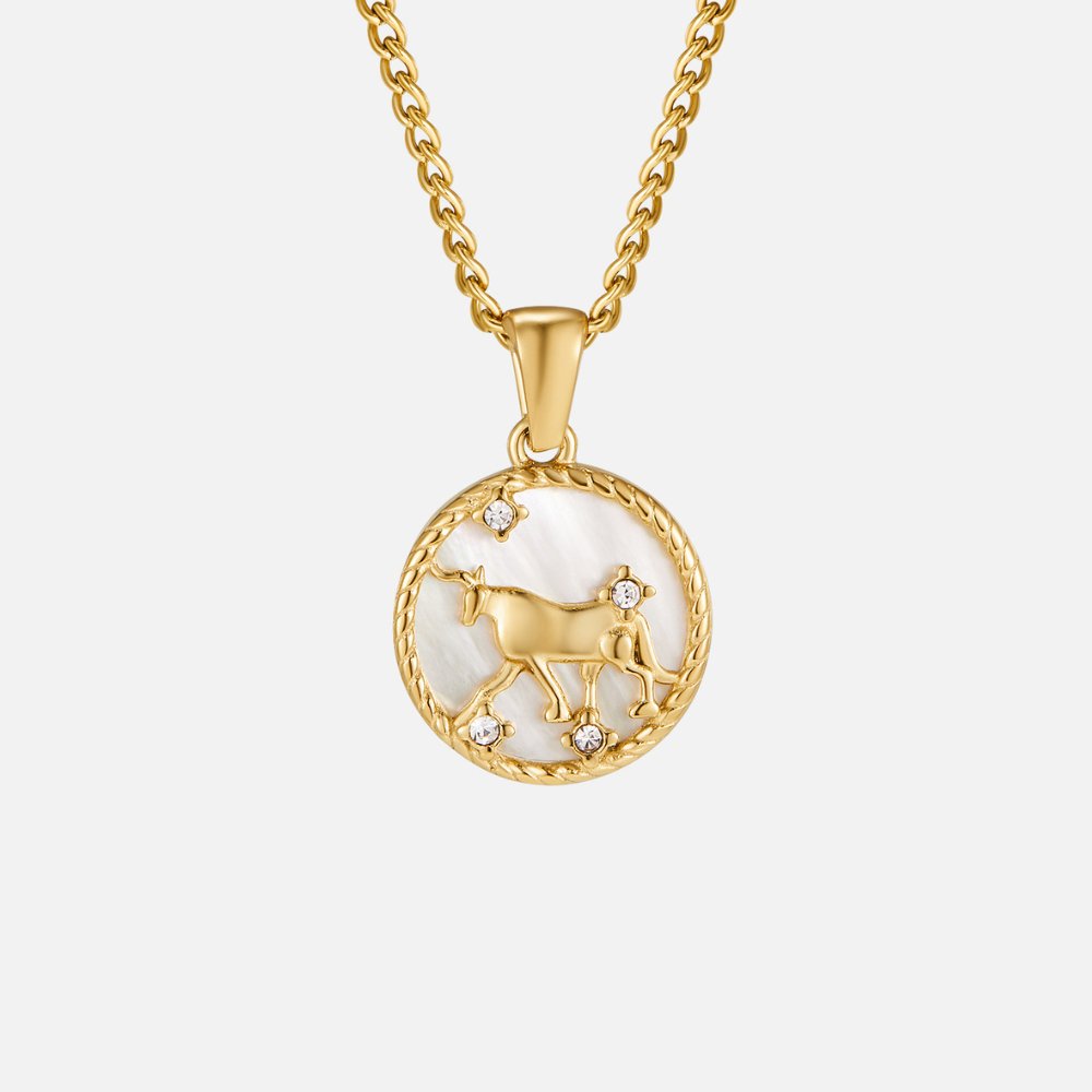 White Shell Zodiac Coin Necklace - Beautiful Earth Boutique