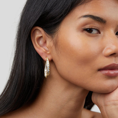Neesa Gold Crystal Drop Earrings - Beautiful Earth Boutique